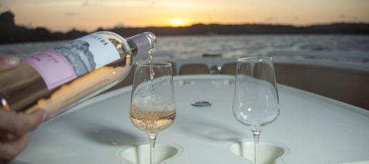 Captain’s Reserve Wine Tasting Tour